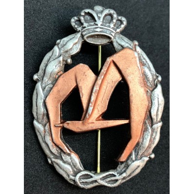 Badge for War Actions, Transport - of RR.AA. (Bronze)