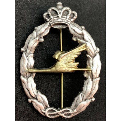 RR.AA Relief Spezialist Abzeichen (Gold)