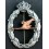 RR.AA Relief Specialist Badge (Bronze)