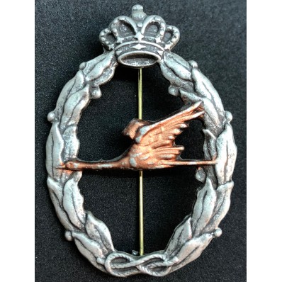 RR.AA Relief Specialist Badge (Bronze)