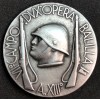 "VII Campo Dux" Badge