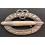 Distintivo Commemorativo per Equipaggi di Aeronavi Militari