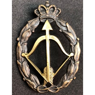 Abzeichen für Kriegsaktionen, Abfangjäger Flugzeug - von RR.AA. (Gold)