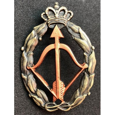 Distintivo per azioni di guerra, caccia intercettatore - della RR.AA. (Bronzo)