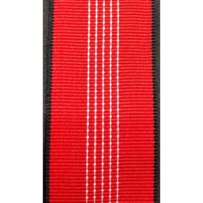 GN25 (50cm)