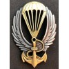 Swimming Paratrooper Badge