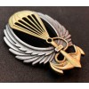 Swimming Paratrooper Badge