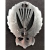 Swimming Paratrooper Badge