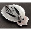 Swimming Paratrooper Badge