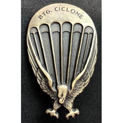 Badge of the 183rd "Cyclone" Paratroopers Division