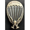 Badge of the 183rd "Cyclone" Paratroopers Division