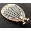 Badge of the 183rd "Cyclone" Paratroopers Division
