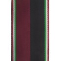 Nastro - IV° Corpo d'Armata sul Fronte Greco-Albanese