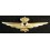 R.A. Pilot Abzeichen