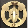 Sturmtruppen Badge (Gold)