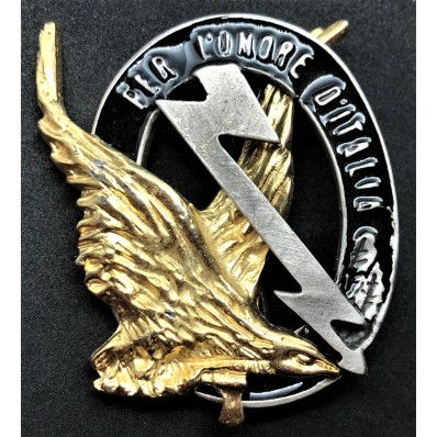 RSI Pilot Badge