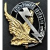 RSI Pilot Badge