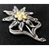 Edelweiss