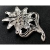 Edelweiss