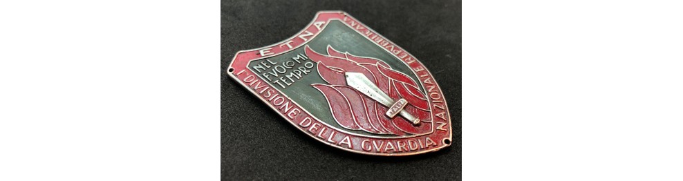 Battle Shields and Tags