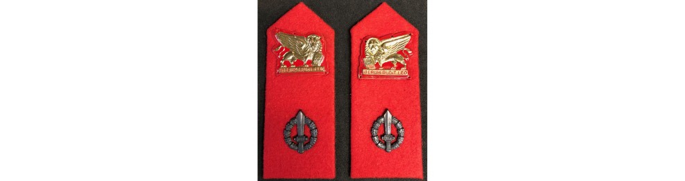 Collar Tabs, Shoulder Boards and Epaulettes