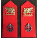 Collar Tabs, Shoulder Boards and Epaulettes